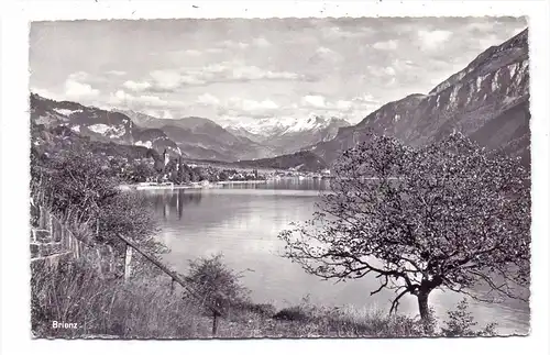 CH 3855 BRIENZ mit See