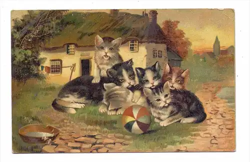 KATZEN / Chats / Cats / Gatti / Gatos - Künstler-Karte Hoffmann´s Stärke, Bahnpost Düsseldorf-Essen, 1911