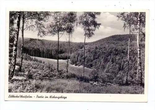 4990 LÜBBECKE, Partie im Wiehengebirge, 1958