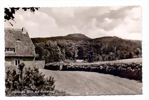 4990 LÜBBECKE, Blick auf den Reineberg, 1960