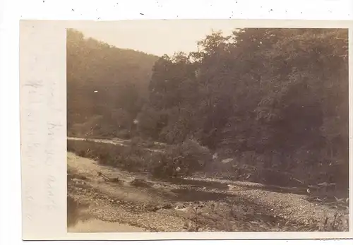 0-6823 BAD BLANKENBURG, Bachlauf, Photo-AK, 1925