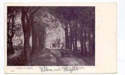 NL - DRENTHE - ROLDE, Laan te Rolde, 1904