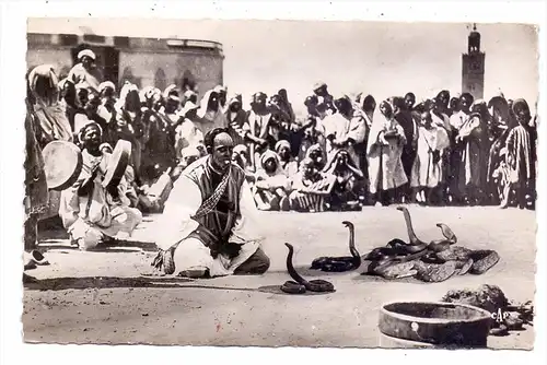 TIERE - SCHLANGEN BESCHWÖRER / Charmeur de serpents / Snake Charmer / Slangenbezweerder - Maroc, 1950