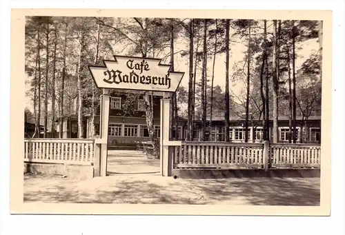 0-8000 DRESDEN - HEIDE, Cafe Waldesruh, 1958, rücks. Klebereste