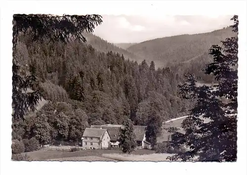 7297 ALPIRSBACH - EHLENBOGEN, Mittlere Mühle