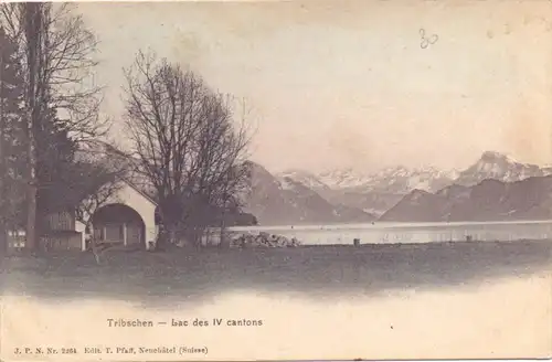 CH 6000 LUZERN - TRIBSCHEN LU, Vierwaldstädter See, coloriert