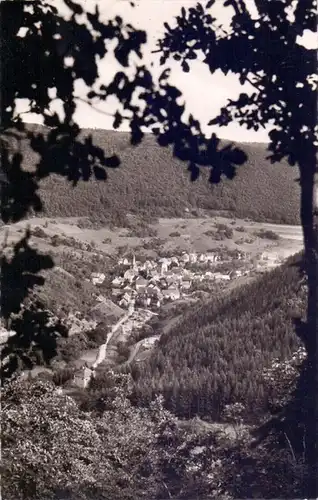 5590 COCHEM - LÜTZ, Panorama, Lützbachtal