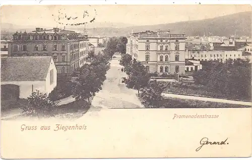 OBER-SCHLESIEN - ZIEGENHALS / GLUCHOLAZY (Oppeln), Promenadenstrasse, 1902