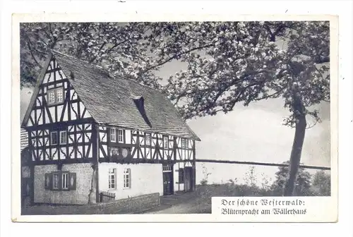 5232 FLAMMERSFELD, Wällerhaus, 1951