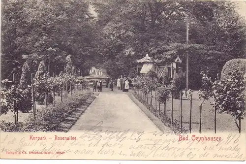4902 BAD SALZUFLEN, Rosenallee im Kurpark, 1903