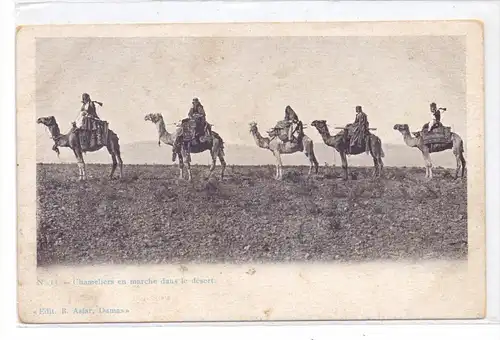 TIERE - KAMELE / Camel / Chameau / Cammello / Kameel / Camello - Syrische Wüste