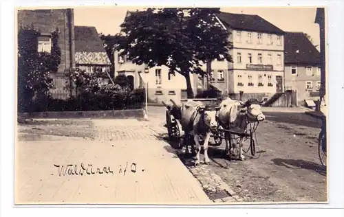 6968 WALLDÜRN, Strassenpartie, Ochsenkarren, Photo-AK