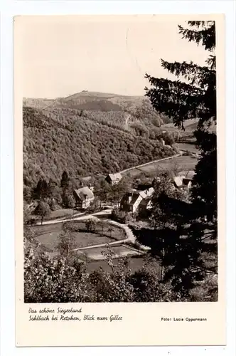 5902 NETPHEN - SOHLBACH, Blick zum Giller, 1954