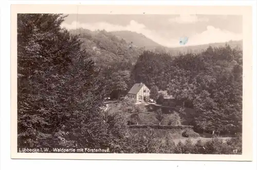 4990 LÜBBECKE, Waldpartie mit Försterhaus, 1954