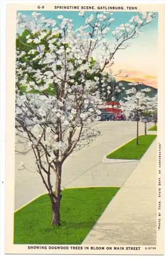 USA - TENNESSEE - GATLINBURG, Springtime Scene