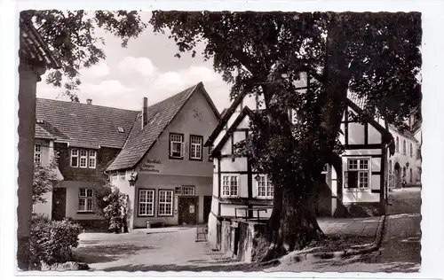 4542 TECKLENBURG, Marktlinde