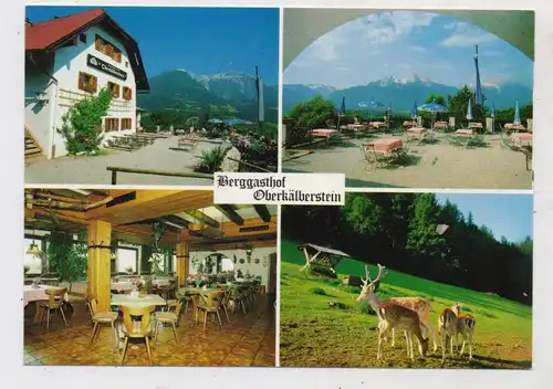 8240 BERCHTESGADEN, Berggasthof Oberkälberstein