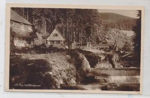 NIEDER - SCHLESIEN - WÖLFELSGRUND / MIEDZYGORZE (Glatz), Dorfansicht
