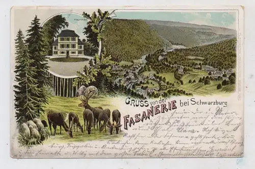 0-6825 SCHWARZBURG, Lithographie 1899, Fasanerie