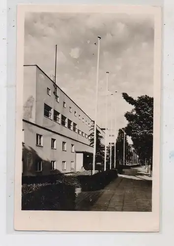 5300 BONN - GRONAU, Parlamentsgebäude, 1949
