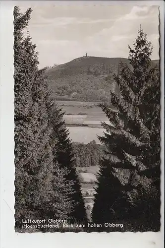 5787 OLSBERG, Blick zum hohen Olsberg 1962