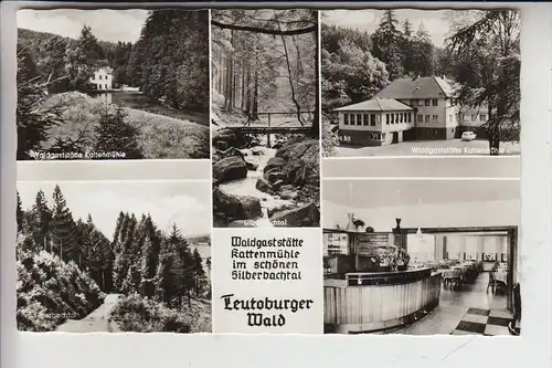 4934 HORN - BAD MEINBERG - FELDROM, Waldgaststätte Kattenmühle