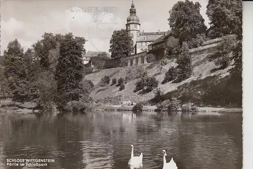 5920 BAD BERLEBURG, Schloss Wittgenstein, Schloßpark 1964