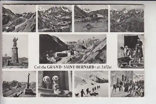 HUNDE - BERNHARDINER / SAINT BERNARD, Le Saint-Bernard des Neiges