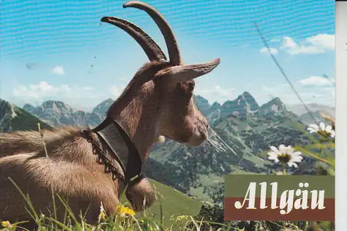 TIERE - ZIEGEN - Goats - Geiten - Chevres