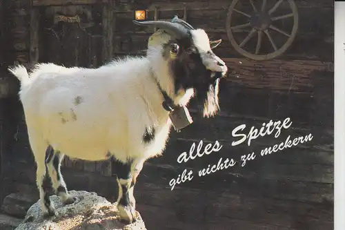 TIERE - ZIEGEN - Goats - Geiten - Chevres