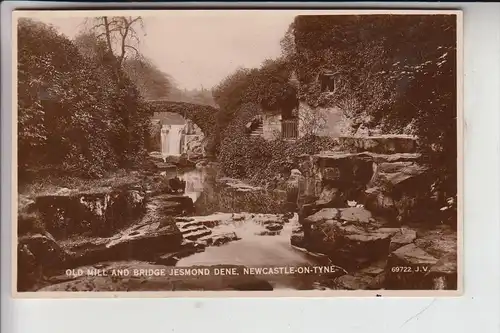 UK - SCOTLAND - TYNE & WEAR - NEWCASTLE-UPON-TYNE, Old Hill and bridge Jesmond Dene