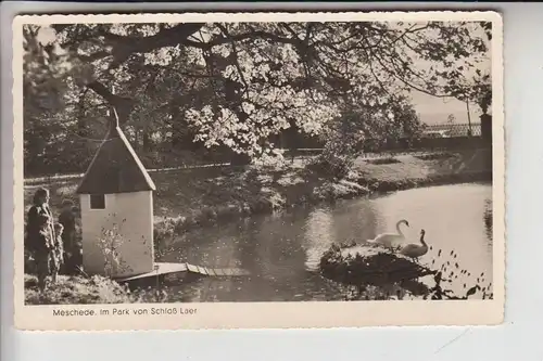 5778 MESCHEDE, Schloss Laer, Park 1954