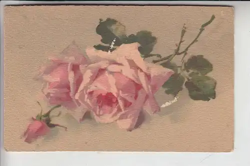 KÜNSTLER - ARTIST - KLEIN, CATHARINA,  Meissner & Buch Serie 2466