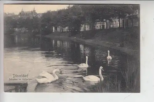 TIERE - VÖGEL - SCHWAN / Swan / Zwaan / Cygne / Cigno / Cisne / Düsseldorf - Hofgarten