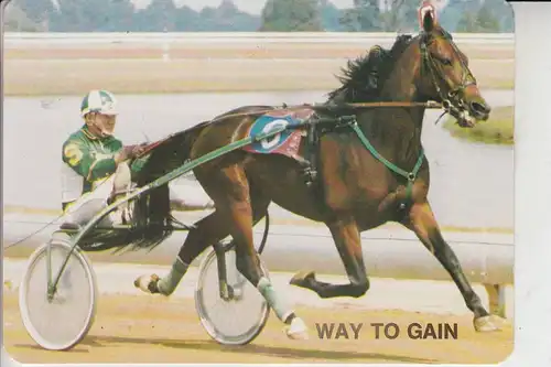 SPORT - Trabrennen / Trot / Trotto