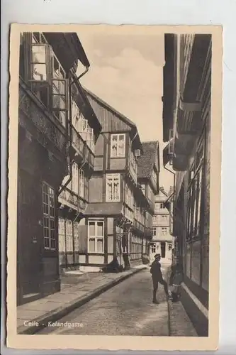 3100 CELLE, Kalandgasse