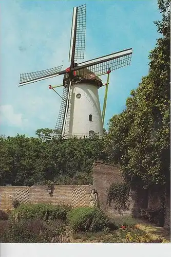 MÜHLE - Molen - mill, Windmühle Rhenen Panoramamolen