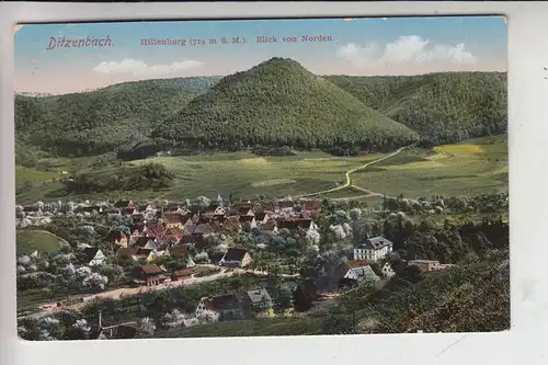 7341 DITZENBACH, Hiltenburg, Blick von Norden 1916