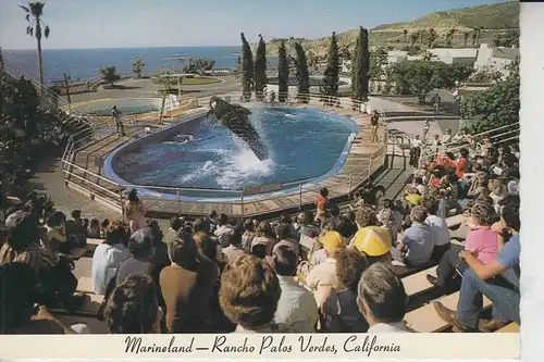 TIERE - FISCHE - Wale / Whales - Marineland Rancho Palos Verdes, California