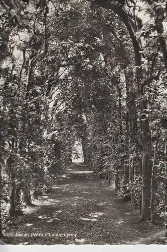 4174 ISSUM, Laubengang 1968