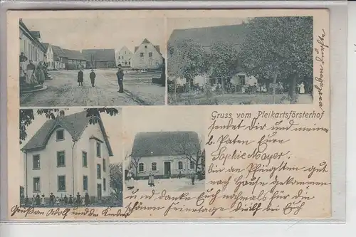 6900 HEIDELBERG - PLEIKATSFÖRSTERHOF, Mehrbildkarte 1900