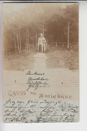 5430 MONTABAUR, Gruss aus...., 1900, Photo-AK, Denkmal Wilhelm der Grosse