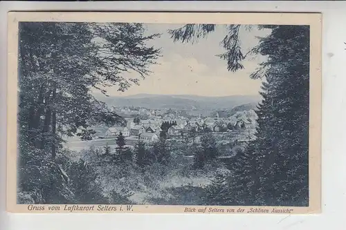 5418 SELTERS, Blick auf Selters von der "Schönen Aussicht" 1910