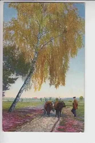 LANDWIRTSCHAFT, 1907, Photochromiekarte