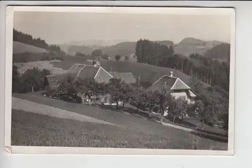 BÖHMEN & MÄHREN, ROTHENBAUM - CERVENE DREVO, nach dem 2.Weltkrieg zerstört, Photo-AK