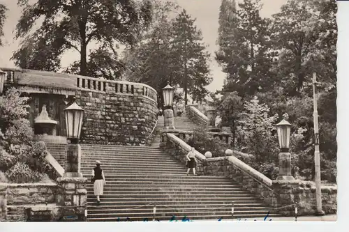 0-5000 ERFURT, Aufgang zum Stadtgarten  1957