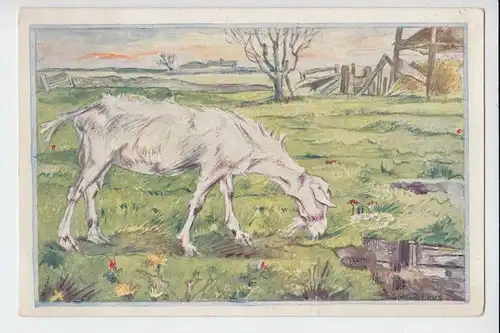 TIERE - ZIEGEN-Geiten-Goats-Chevres - mit Kind, Künstler-Postkarte Kuperus-Serie No.16