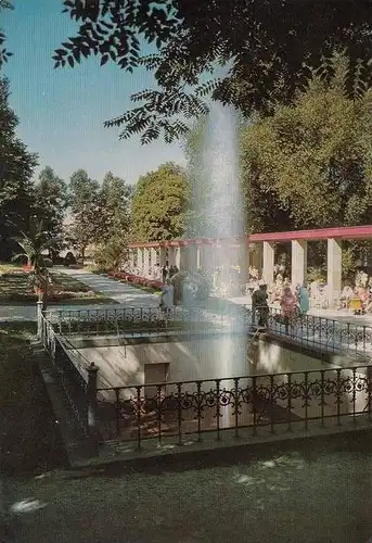 5483 BAD NEUENAHR, Großer Sprudel im Kurpark