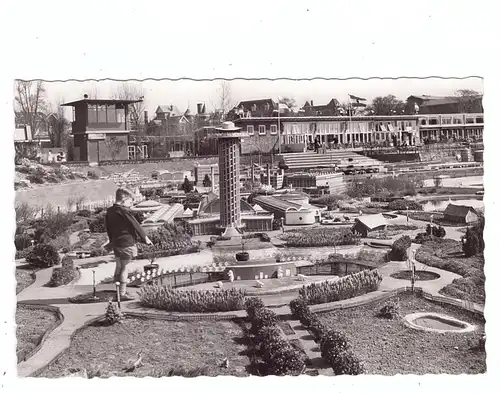 DEN HAAG - MADURODAM, Zoo of Blijdorp