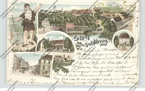 NIEDER - SCHLESIEN - GOLDBERG / ZLOTORYJA, Lithographie 1898, Neumann's Dampfbrauerei, Restaurant Bürgerberg....